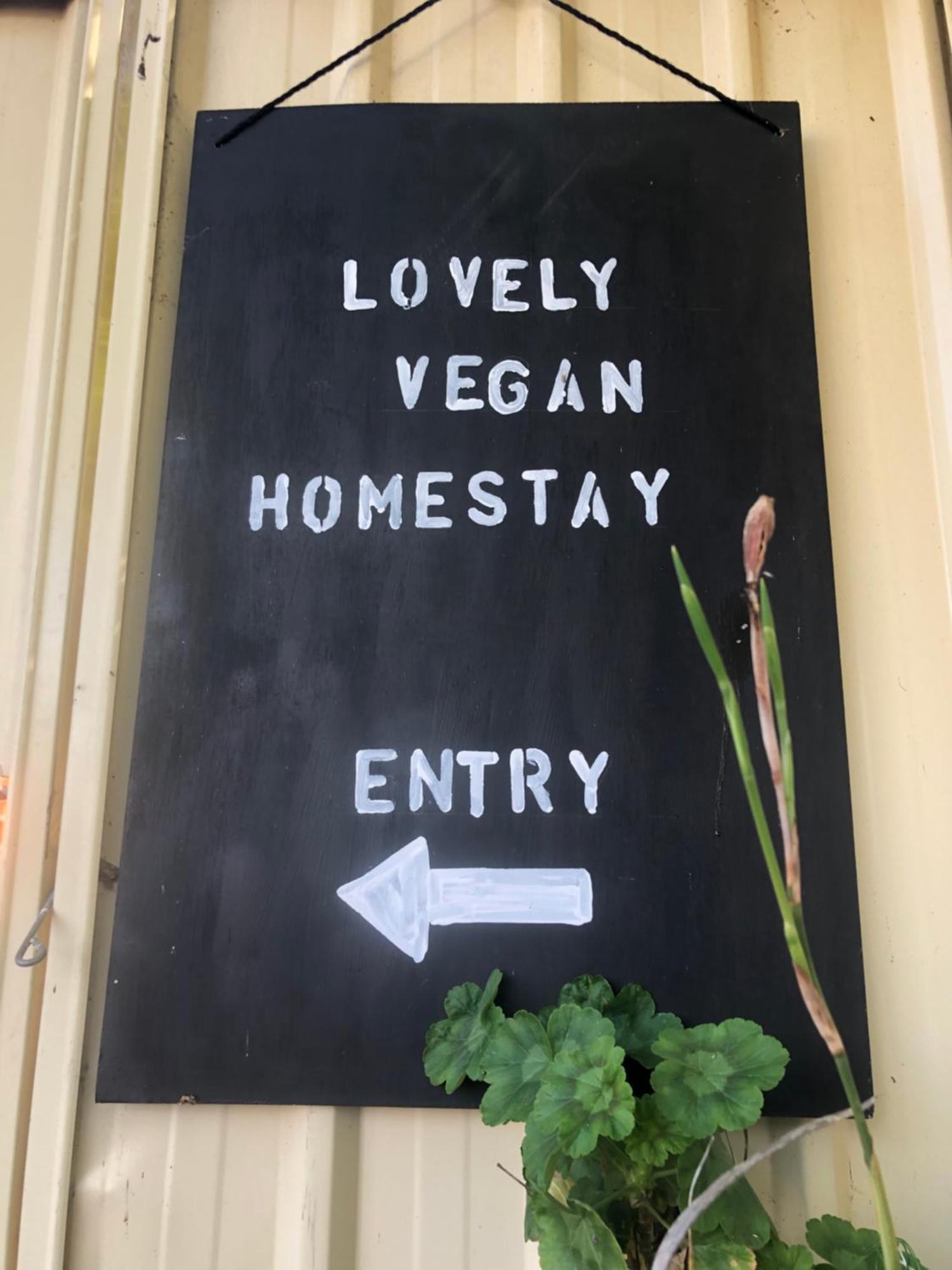 Lovely Budget Vegan Homestay Launceston Kültér fotó
