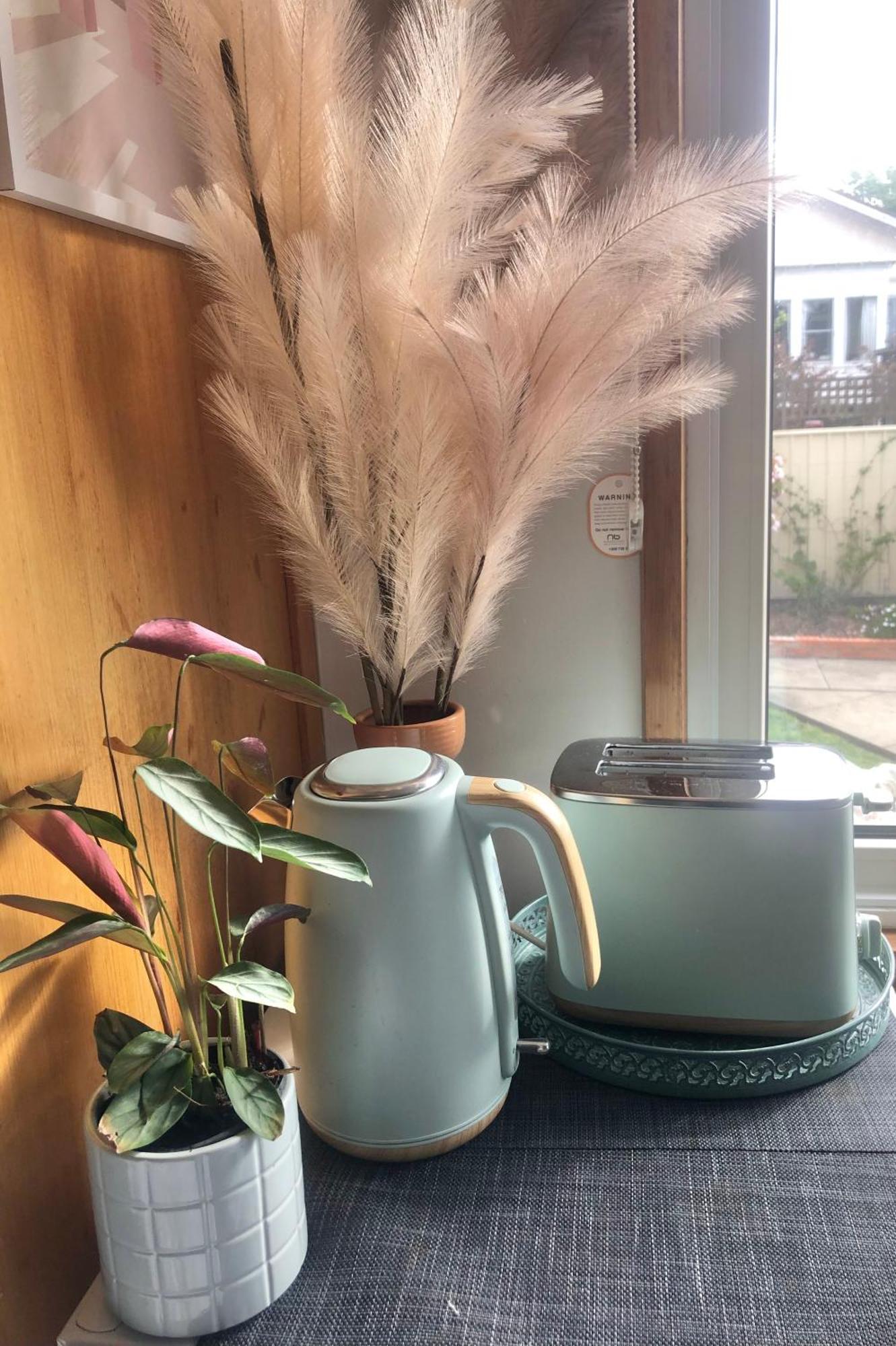 Lovely Budget Vegan Homestay Launceston Kültér fotó
